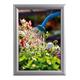 9413126 326116 Plakatramme Snap 25mm,alu A3,Watersafe 